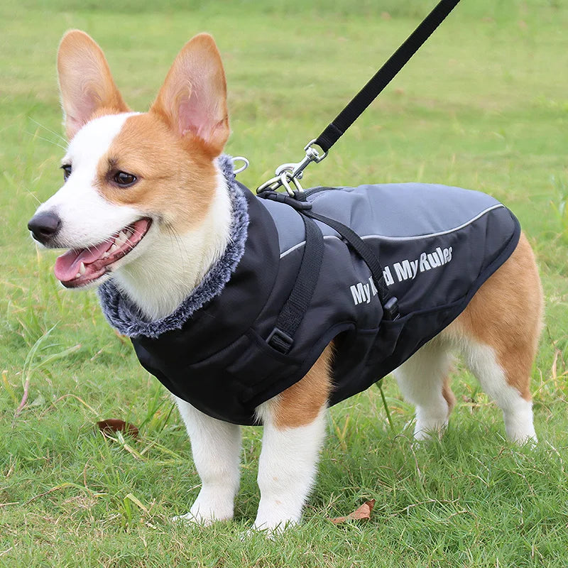 Small Dog Vest Winter Warm Pet Clothes Cotton Dogs Coat Harness For Medium Bulldog Big Dog Clothes Jacket
