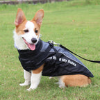 Small Dog Vest Winter Warm Pet Clothes Cotton Dogs Coat Harness For Medium Bulldog Big Dog Clothes Jacket
