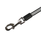 5m 8m 50kg Dog Leash Retractable Roulette Collar for Small Big Dogs Accessories Adjustable Walking Hiking French Bulldog Rope