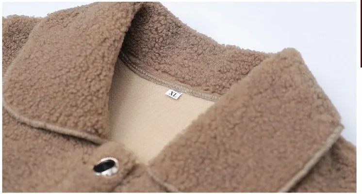 Middle-aged Mothers Faux lamb Wool Coat 2024 Autumn Winter Loose Long-sleeve Outerwear Solid Female Jacket Parkas Casual Tops