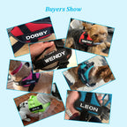 Nylon Dog Harness Personalized Reflective Pet Harness For Small Medium Large Dogs Breathable Mesh Pad Dog Harness No Pull