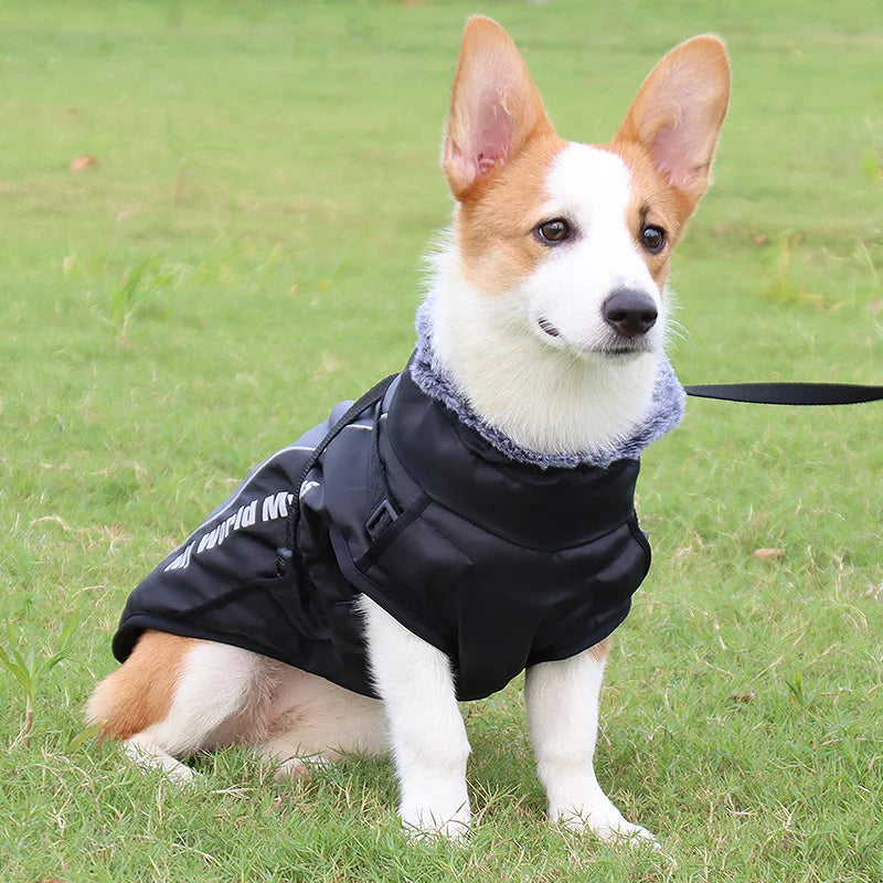 Small Dog Vest Winter Warm Pet Clothes Cotton Dogs Coat Harness For Medium Bulldog Big Dog Clothes Jacket