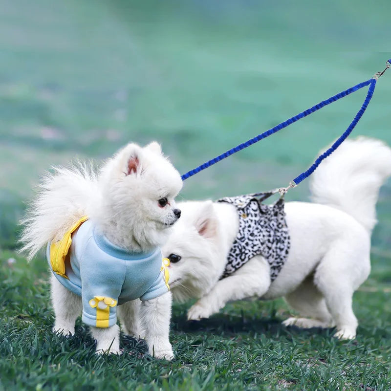 Double Dog Leash 360 Swivel No Tangle Walking Leash Shock Absorbing Bungee for Two Dogs Retractable Elastic Luminous Dog Leash