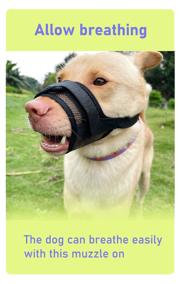 Dog muzzle Prevents biting barking and accidental eating prevents slipping off fits small medium large dogs adjustable