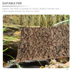 3 Pcs Reptile Bark Toy Animals Cork Tortoise Accessories Tree Terrarium Background Moss