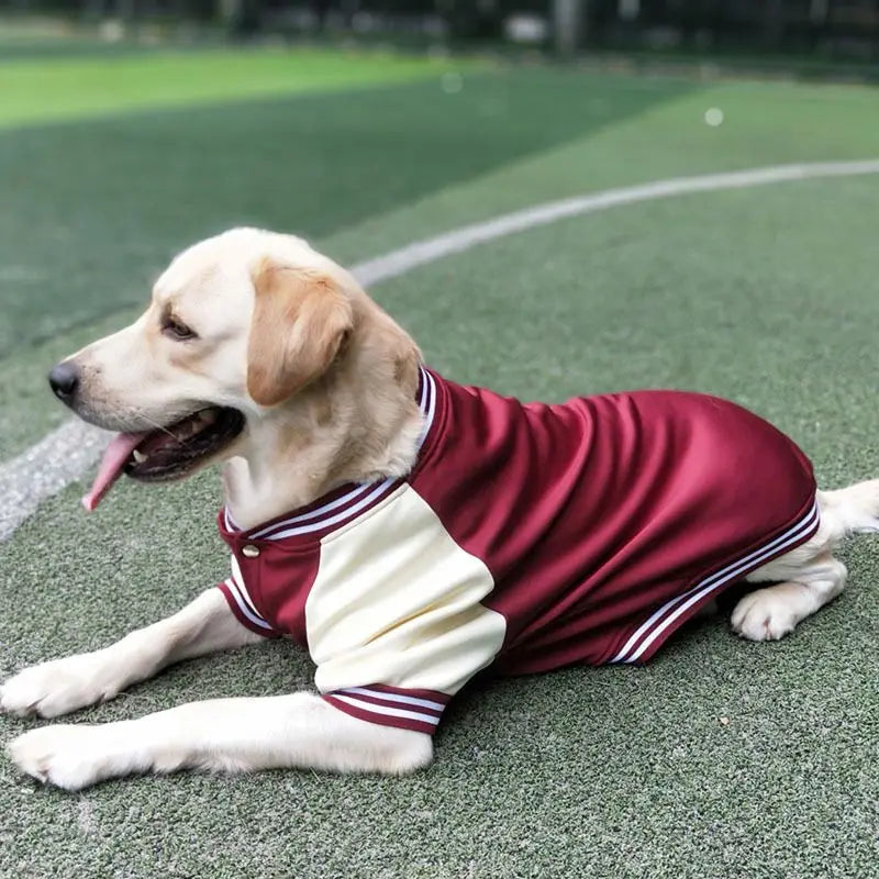 M~7XL Warm Big Dog Baseball Suit Medium Large Dogs Autumn Winter Clothing Golden Retriever Labrador Dog Sweater Thick Style