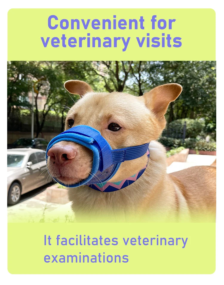 Dog muzzle Prevents biting barking and accidental eating prevents slipping off fits small medium large dogs adjustable