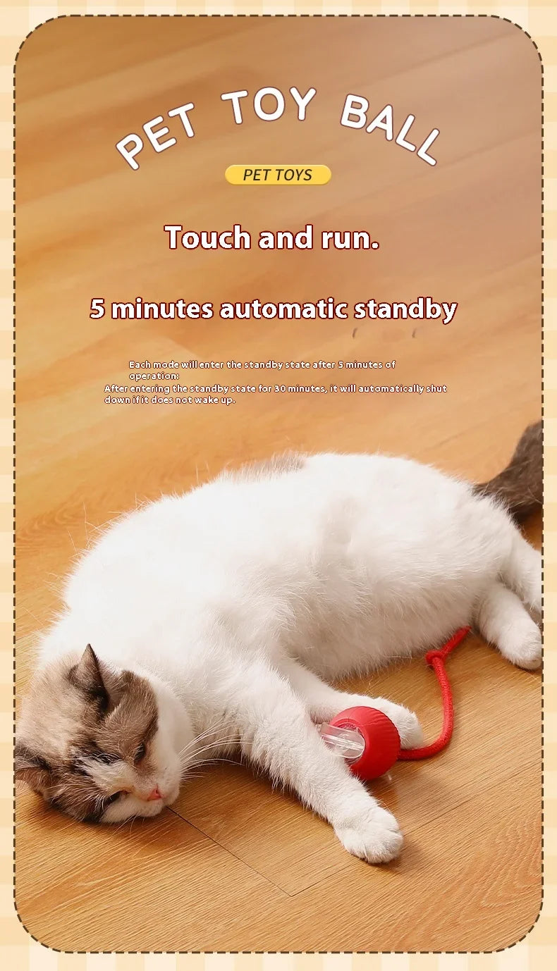 Interactive Cat Toy Ball Rolling Balls Pet Kitten Cats Teaser Automatic Electric Smart Game Plush Toys Play Stimulator Training