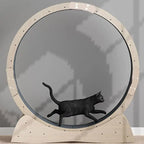 3PCS Self Adhesive Carpet Pad Cat Scratcher Mat Furniture Protector Scratch Post Rug Cat Tree Covering Pet Products Kitten