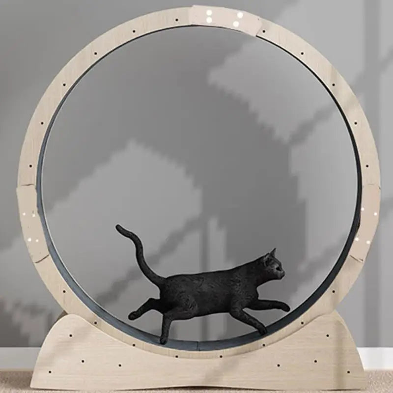 3PCS Self Adhesive Carpet Pad Cat Scratcher Mat Furniture Protector Scratch Post Rug Cat Tree Covering Pet Products Kitten