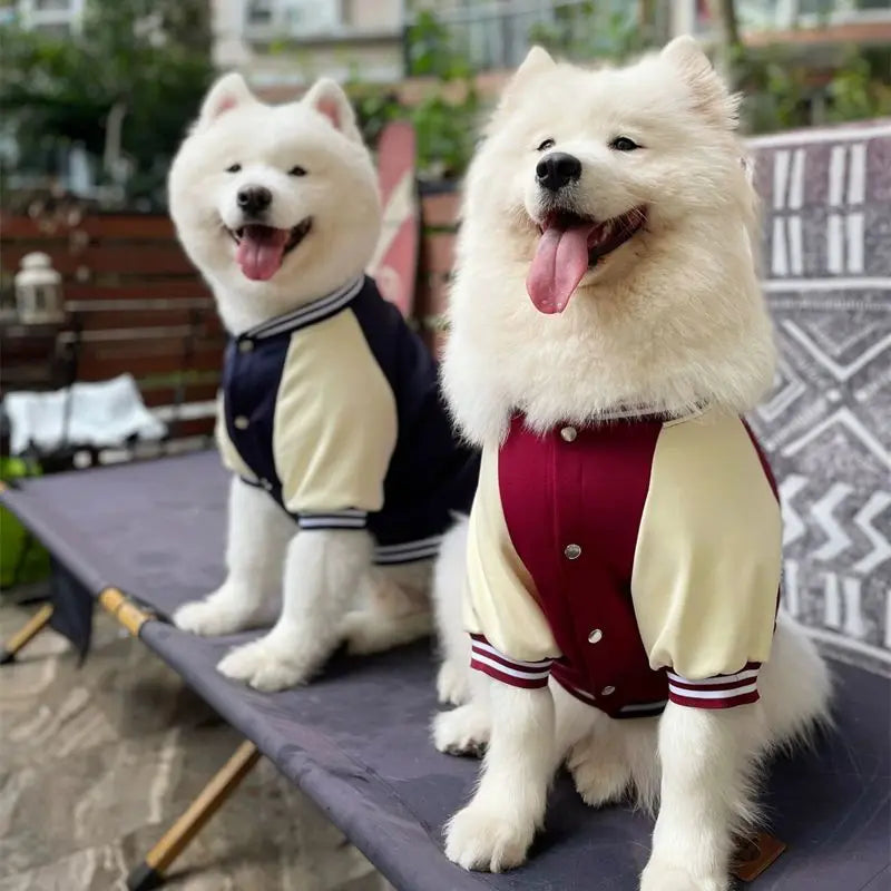 M~7XL Warm Big Dog Baseball Suit Medium Large Dogs Autumn Winter Clothing Golden Retriever Labrador Dog Sweater Thick Style