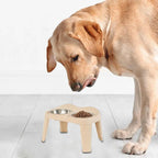 Elevated Dog Feeder Dogs Bowls foldable Raised Stand with Double Stainless Steel Food Water Bowls for Small Medium Large Dogs