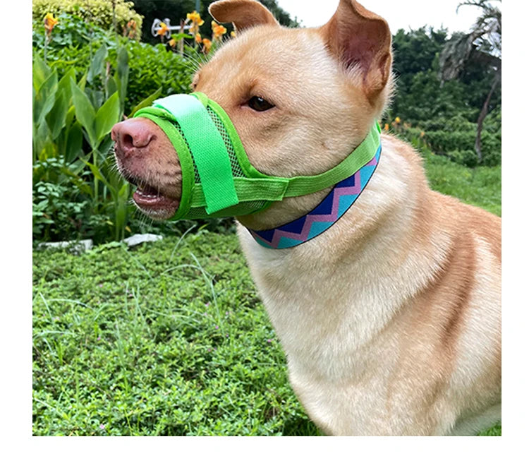 Dog muzzle Prevents biting barking and accidental eating prevents slipping off fits small medium large dogs adjustable