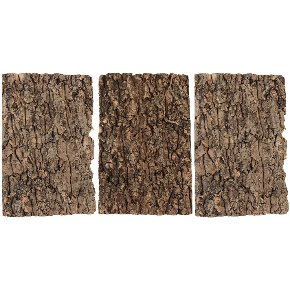 3 Pcs Reptile Bark Toy Animals Cork Tortoise Accessories Tree Terrarium Background Moss