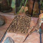 3 Pcs Reptile Bark Toy Animals Cork Tortoise Accessories Tree Terrarium Background Moss