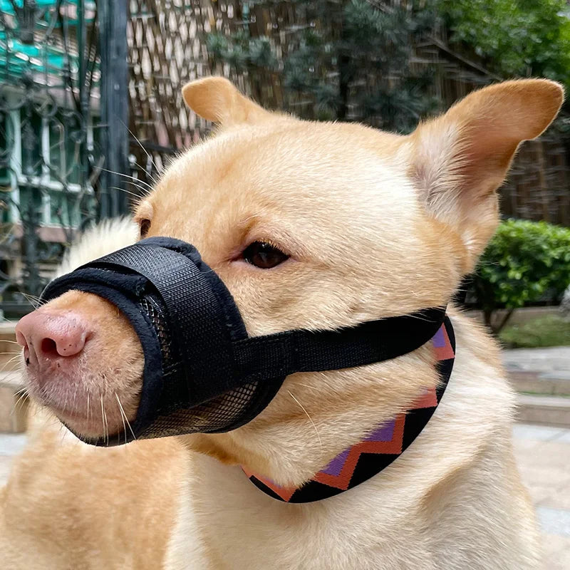 Dog muzzle Prevents biting barking and accidental eating prevents slipping off fits small medium large dogs adjustable