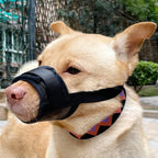 Dog muzzle Prevents biting barking and accidental eating prevents slipping off fits small medium large dogs adjustable