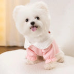 Luxury Dog Clothes for small Dogs Puppy Hoodie Dress for Bulldog Chihuahua Harness Sweatshirt Pets Costume Winter Dog Coat 2025