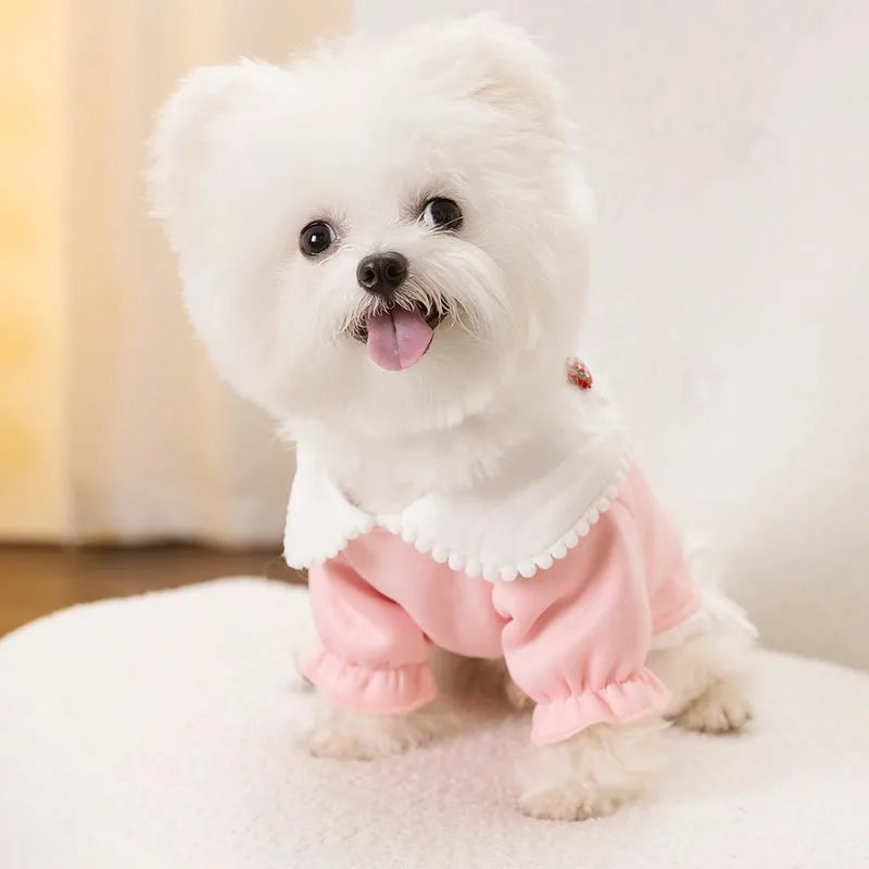 Luxury Dog Clothes for small Dogs Puppy Hoodie Dress for Bulldog Chihuahua Harness Sweatshirt Pets Costume Winter Dog Coat 2025