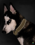Tactical Dog Training Collar With Handle Reflective Collar Leash No Pull Lead Collars For Small Big Dogs Walking Pet Accessories