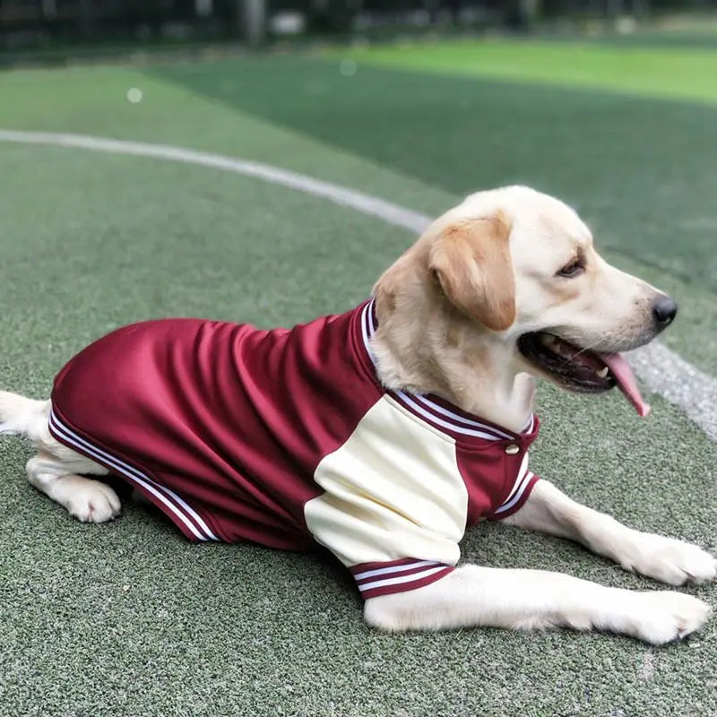 M~7XL Warm Big Dog Baseball Suit Medium Large Dogs Autumn Winter Clothing Golden Retriever Labrador Dog Sweater Thick Style