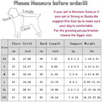 Luxury Dog Clothes for small Dogs Puppy Hoodie Dress for Bulldog Chihuahua Harness Sweatshirt Pets Costume Winter Dog Coat 2025