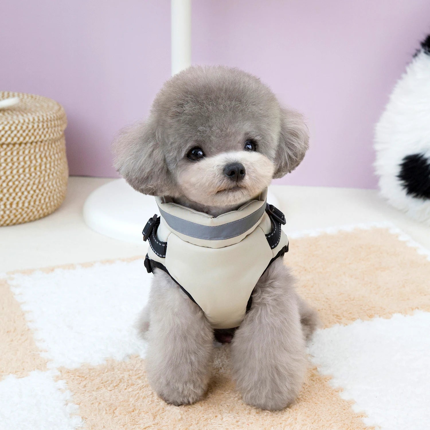 Warm Winter Dog Clothes for Small Medium Dogs Puppy Outfit Windproof Jacket Chihuahua French Bulldog Yorkies Vest