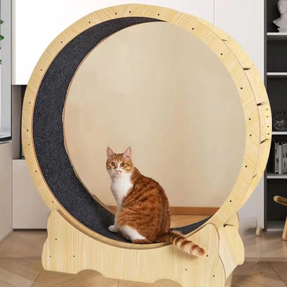 3PCS Self Adhesive Carpet Pad Cat Scratcher Mat Furniture Protector Scratch Post Rug Cat Tree Covering Pet Products Kitten