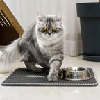 Cat Litter Mat Pet Toilet Waterproof Double Layer Pet Litter Box Mat Nonslip Sand Cat Washable Mat Clean Pad Pet Clean Supplies