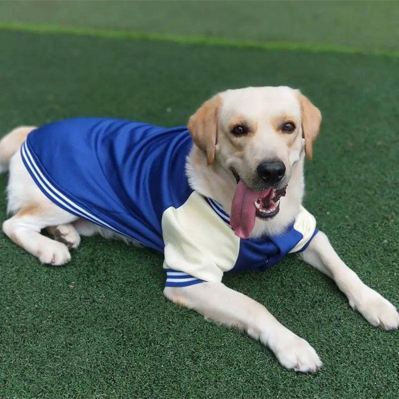 M~7XL Warm Big Dog Baseball Suit Medium Large Dogs Autumn Winter Clothing Golden Retriever Labrador Dog Sweater Thick Style