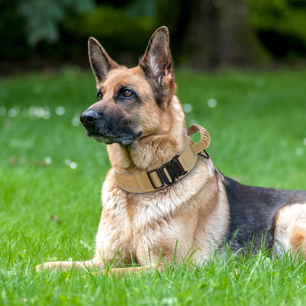 Nylon Durable Dog Collar Military Tactical Pet Training Collars Reflective Necklace With Handle Strong For Medium Large Dogs