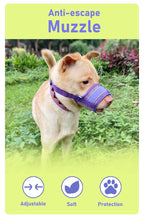 Dog muzzle Prevents biting barking and accidental eating prevents slipping off fits small medium large dogs adjustable