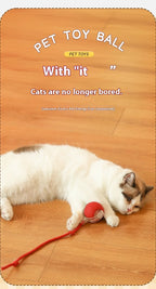 Interactive Cat Toy Ball Rolling Balls Pet Kitten Cats Teaser Automatic Electric Smart Game Plush Toys Play Stimulator Training