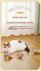 Interactive Cat Toy Ball Rolling Balls Pet Kitten Cats Teaser Automatic Electric Smart Game Plush Toys Play Stimulator Training