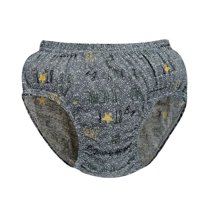 Exquisite Box Package Boys Underwear Soft Breathable Cotton Briefs For Boys Cartoon Dinosaur Kids Panties Knickers Multipack