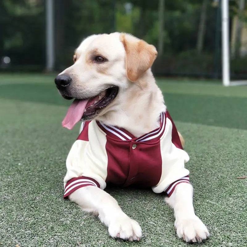 M~7XL Warm Big Dog Baseball Suit Medium Large Dogs Autumn Winter Clothing Golden Retriever Labrador Dog Sweater Thick Style