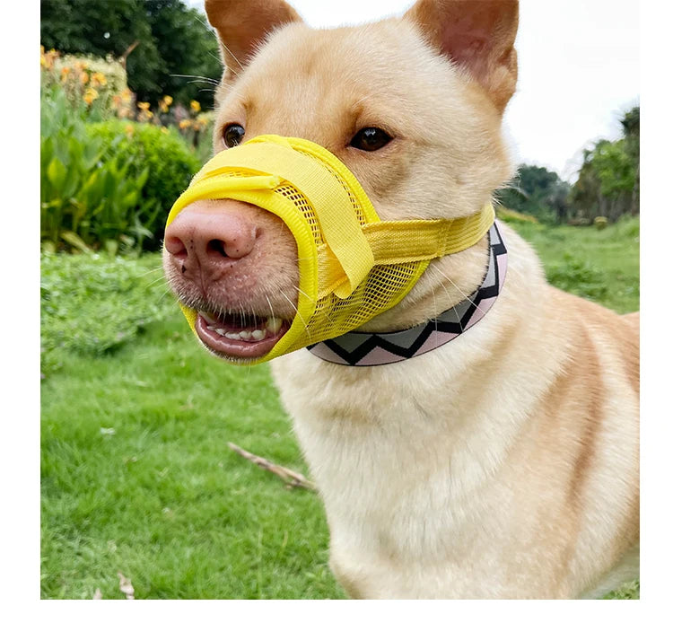 Dog muzzle Prevents biting barking and accidental eating prevents slipping off fits small medium large dogs adjustable