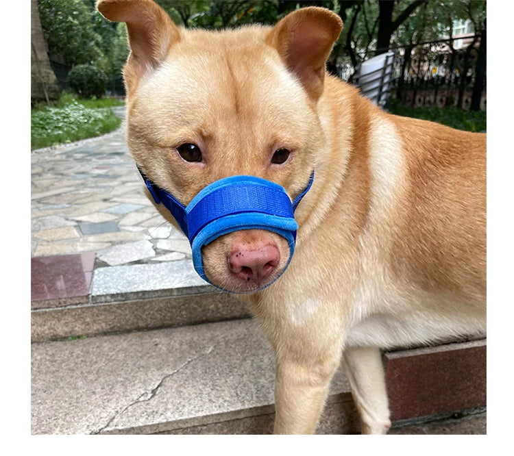 Dog muzzle Prevents biting barking and accidental eating prevents slipping off fits small medium large dogs adjustable