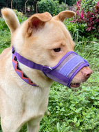 Dog muzzle Prevents biting barking and accidental eating prevents slipping off fits small medium large dogs adjustable