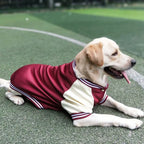 M~7XL Warm Big Dog Baseball Suit Medium Large Dogs Autumn Winter Clothing Golden Retriever Labrador Dog Sweater Thick Style