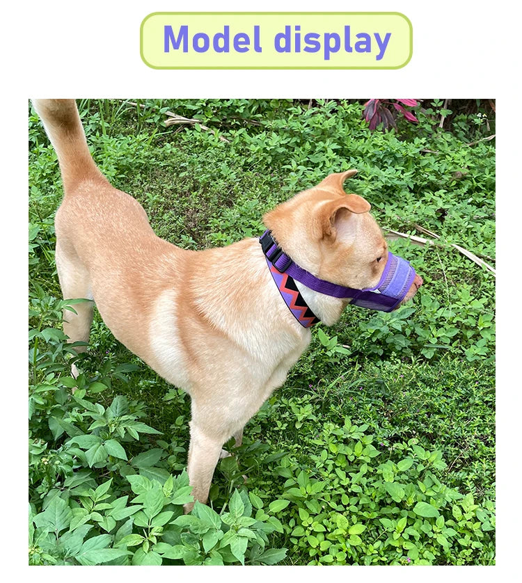 Dog muzzle Prevents biting barking and accidental eating prevents slipping off fits small medium large dogs adjustable