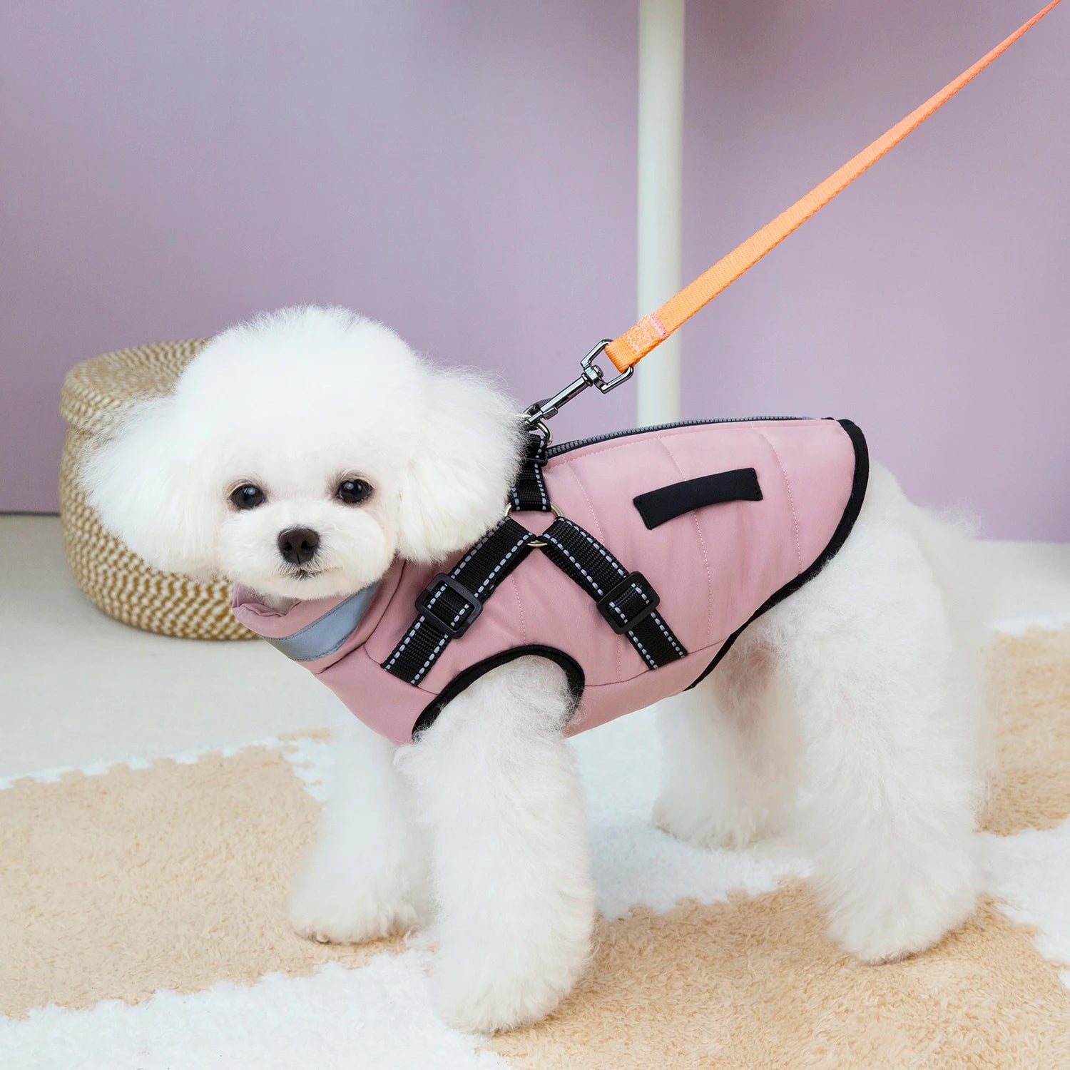 Warm Winter Dog Clothes for Small Medium Dogs Puppy Outfit Windproof Jacket Chihuahua French Bulldog Yorkies Vest