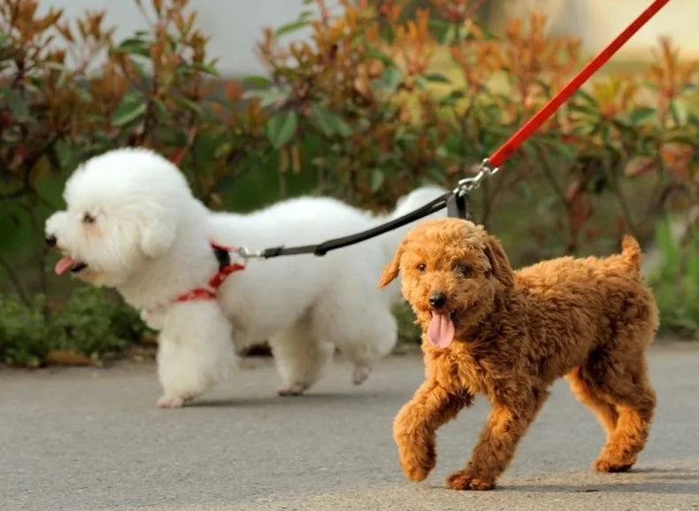 Double Dog Leash 360 Swivel No Tangle Walking Leash Shock Absorbing Bungee for Two Dogs Retractable Elastic Luminous Dog Leash
