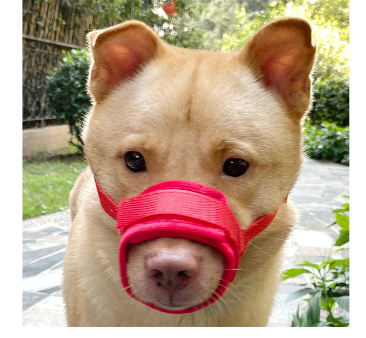 Dog muzzle Prevents biting barking and accidental eating prevents slipping off fits small medium large dogs adjustable