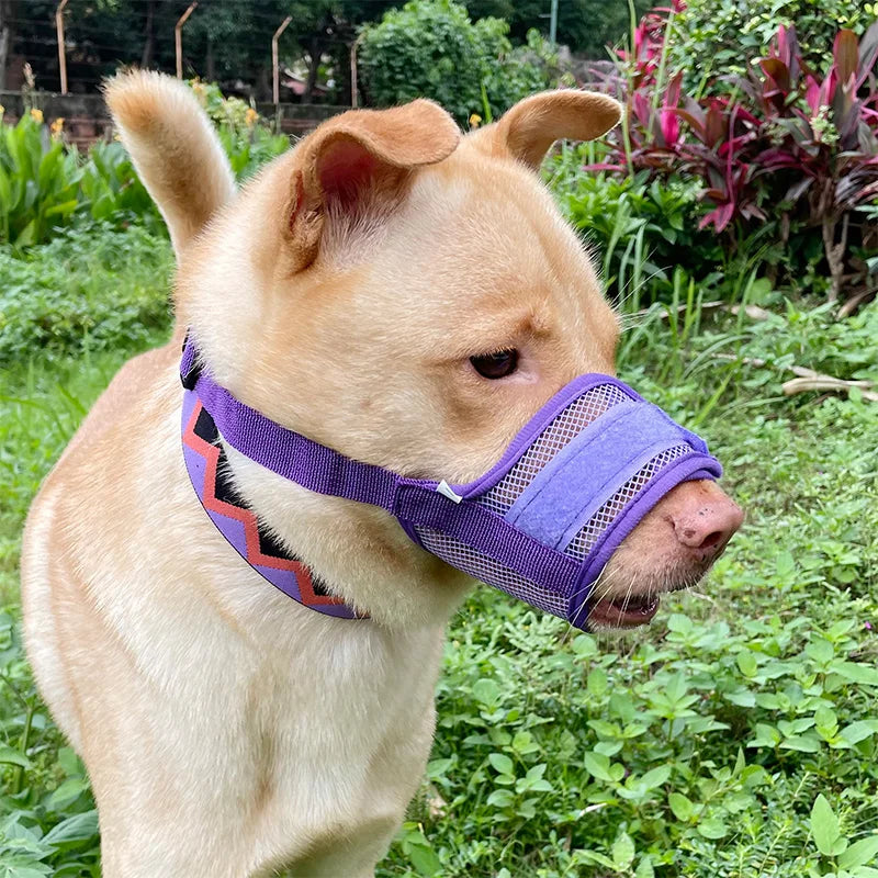 Dog muzzle Prevents biting barking and accidental eating prevents slipping off fits small medium large dogs adjustable