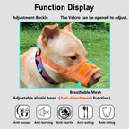 Dog muzzle Prevents biting barking and accidental eating prevents slipping off fits small medium large dogs adjustable