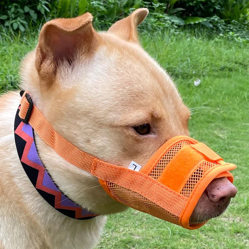 Dog muzzle Prevents biting barking and accidental eating prevents slipping off fits small medium large dogs adjustable