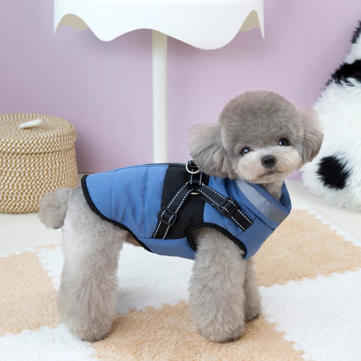 Warm Winter Dog Clothes for Small Medium Dogs Puppy Outfit Windproof Jacket Chihuahua French Bulldog Yorkies Vest