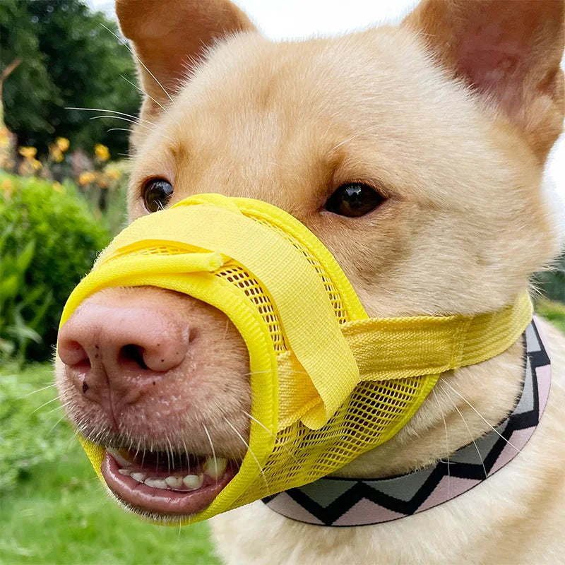 Dog muzzle Prevents biting barking and accidental eating prevents slipping off fits small medium large dogs adjustable