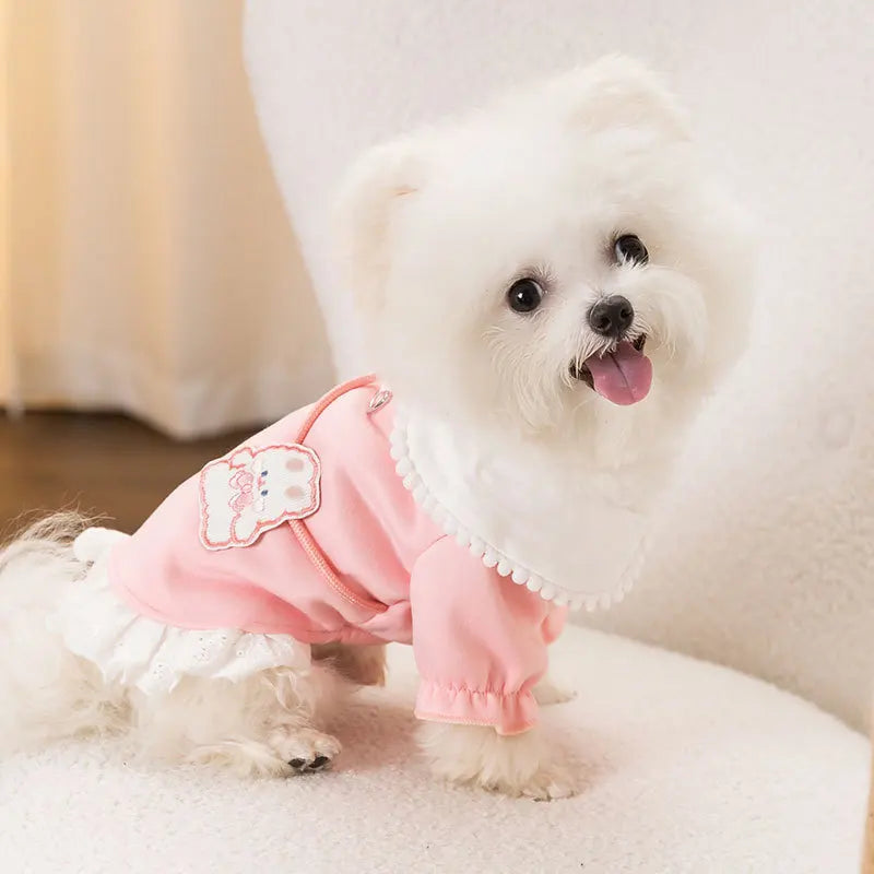 Luxury Dog Clothes for small Dogs Puppy Hoodie Dress for Bulldog Chihuahua Harness Sweatshirt Pets Costume Winter Dog Coat 2025